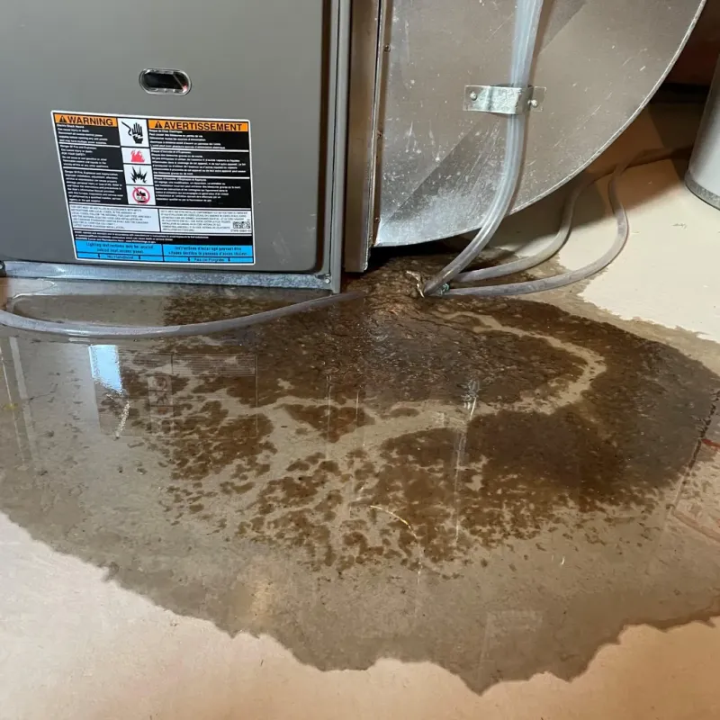 Appliance Leak Cleanup in Barton Creek, TX