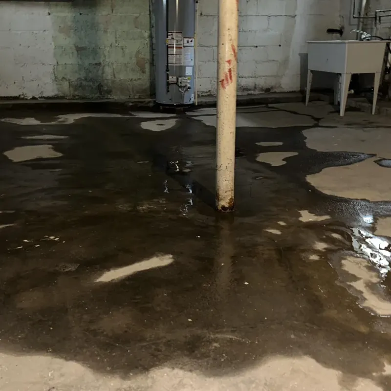 Emergency Water Extraction And Removal in Barton Creek, TX